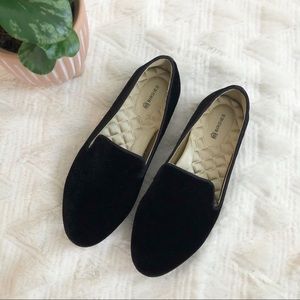 Birdies Starling Black Velvet Smoking Loafer